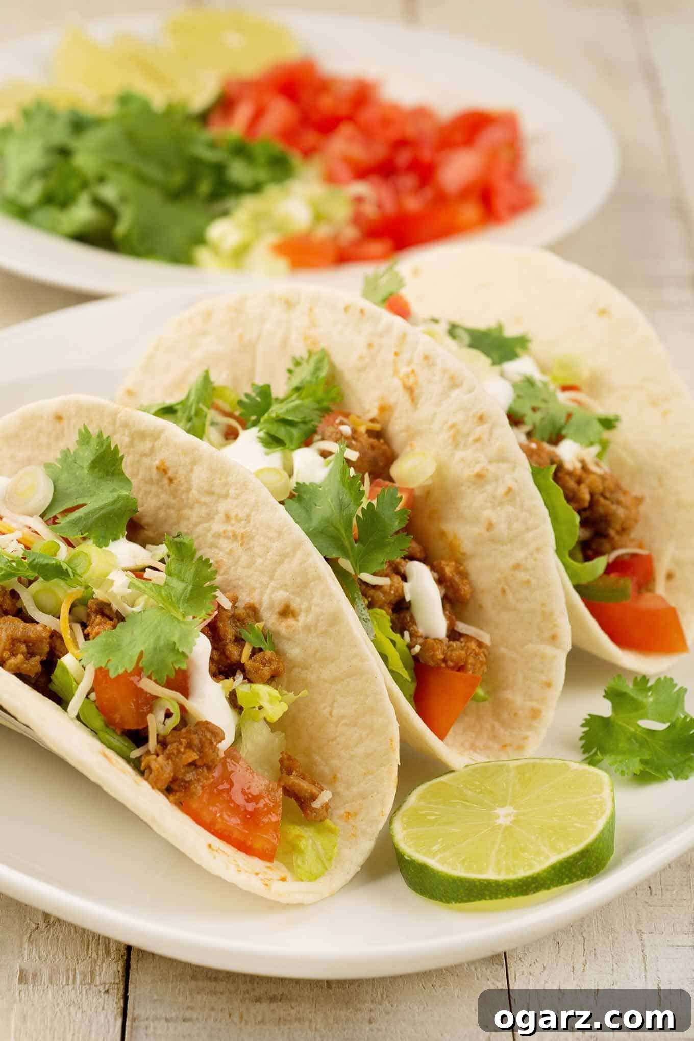 Turkey Tacos Reimagined 10 Turkey Tacos Reimagined