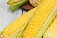 Perfectly Cooked Corn on the Cob