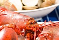Home Clambake Delight