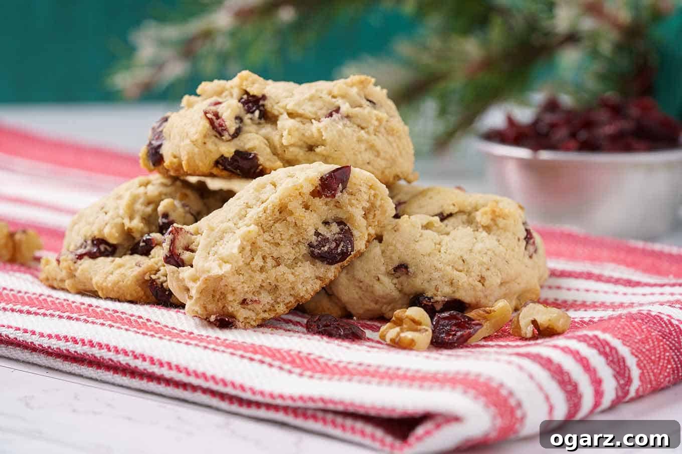 Beautifully arranged Cranberry Walnut Cookies on a red and white striped tea towel, with a cup of dried cranberries and a rustic pine branch in the background.