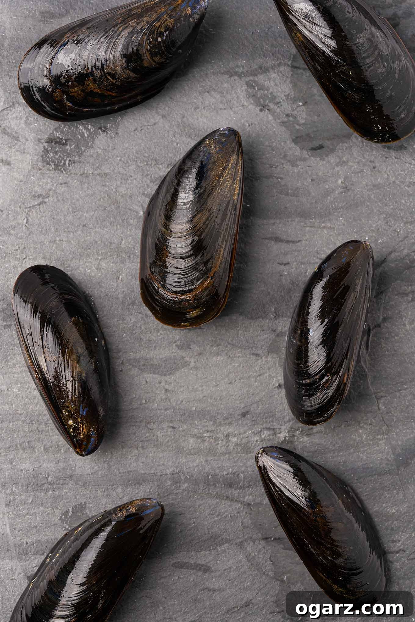 Mussels Italia 3 Fresh, uncooked mussels arranged on a slate board,.