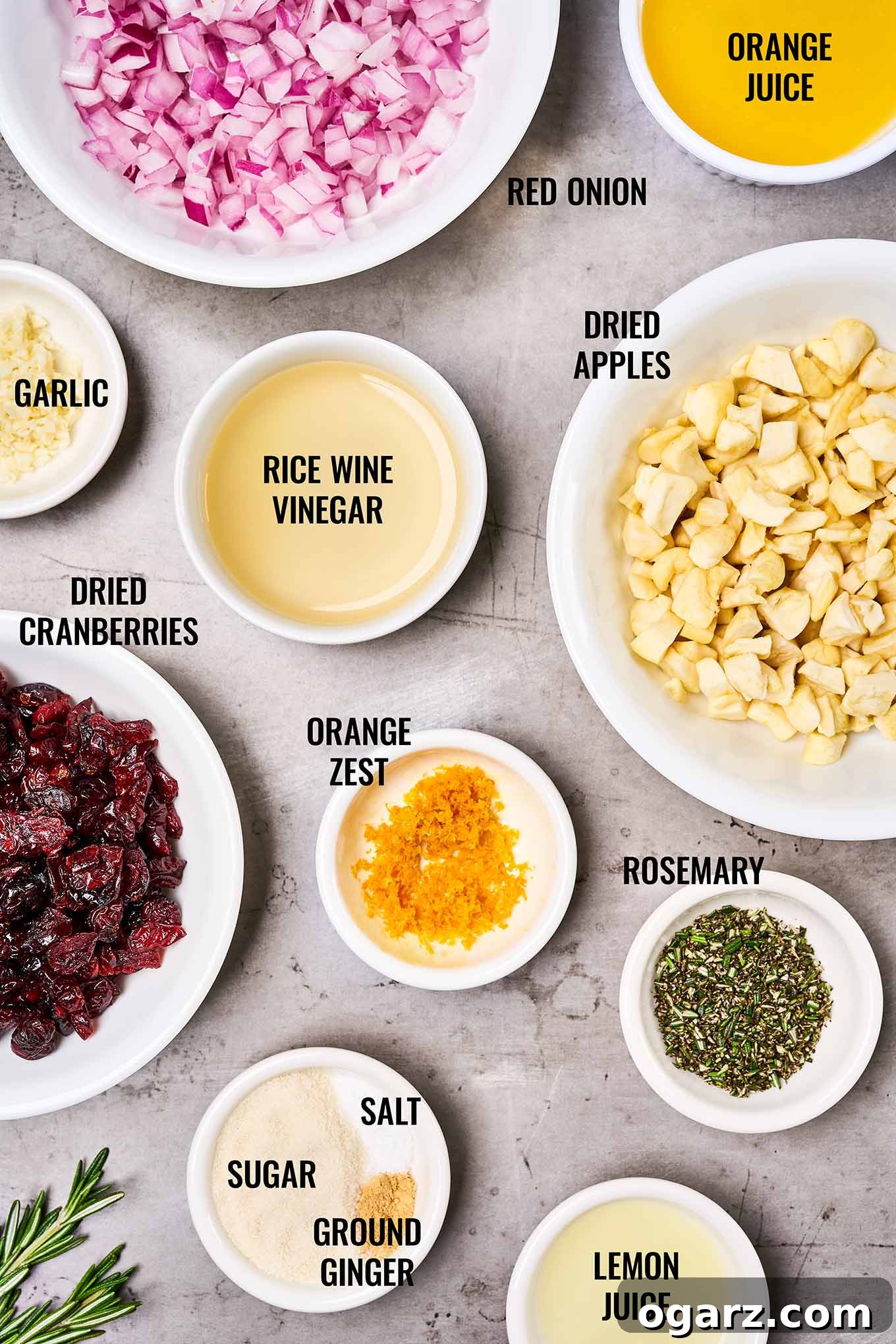 A labeled, overhead view of the ingredients for apple cranberry chutney including dried apples, dried cranberries, orange juice and zest, red onion, and more.