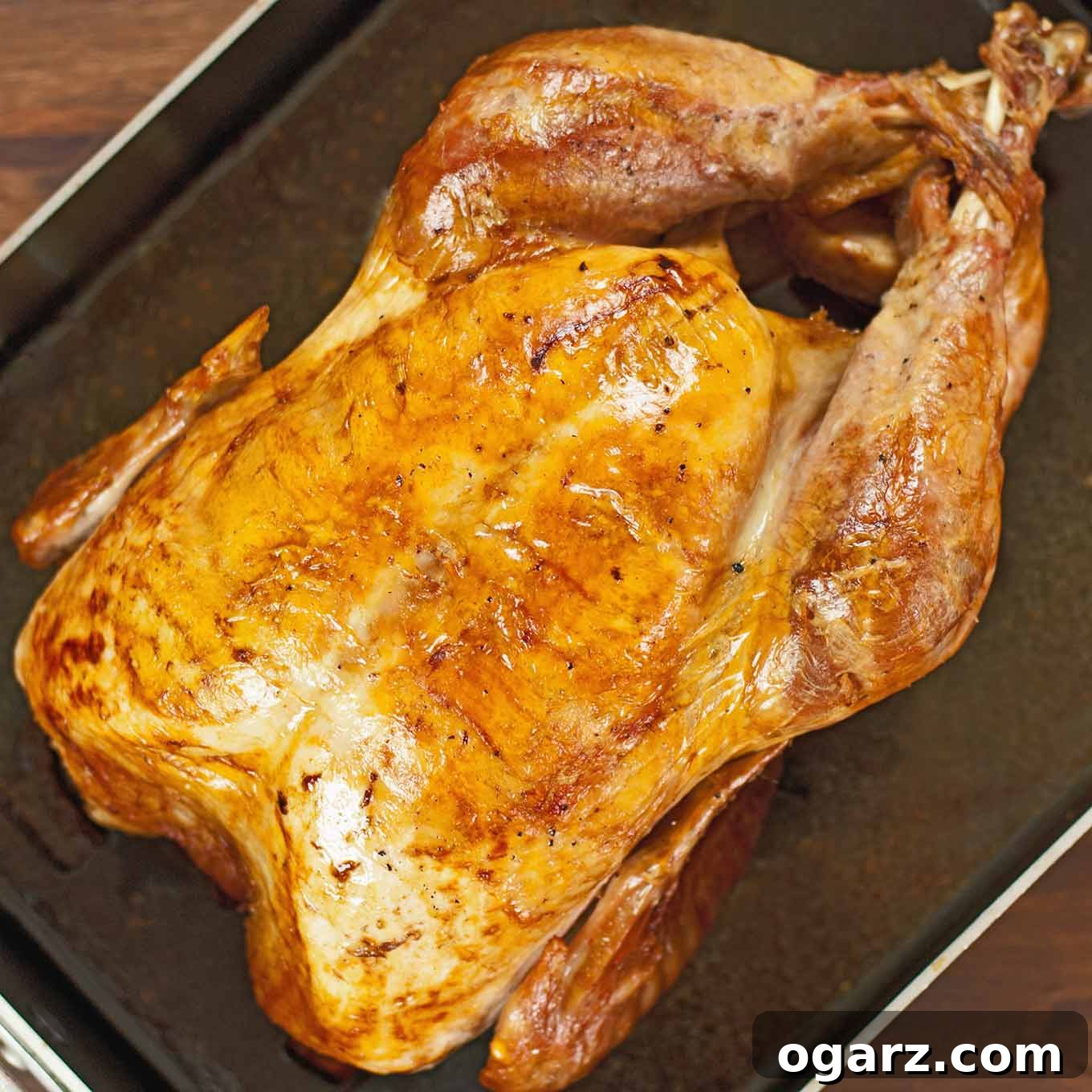 A whole roasted turkey on a rack in a roasting pan with juices for making gravy.