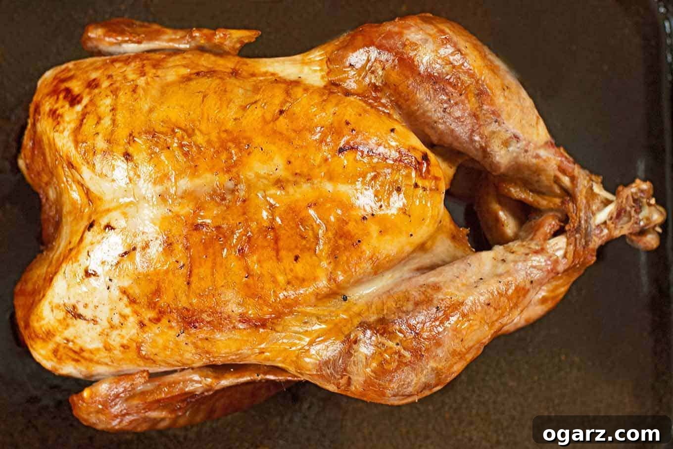 An overhead view of a whole, brined and roasted turkey in its roasting pan, nicely browned and ready to be carved.