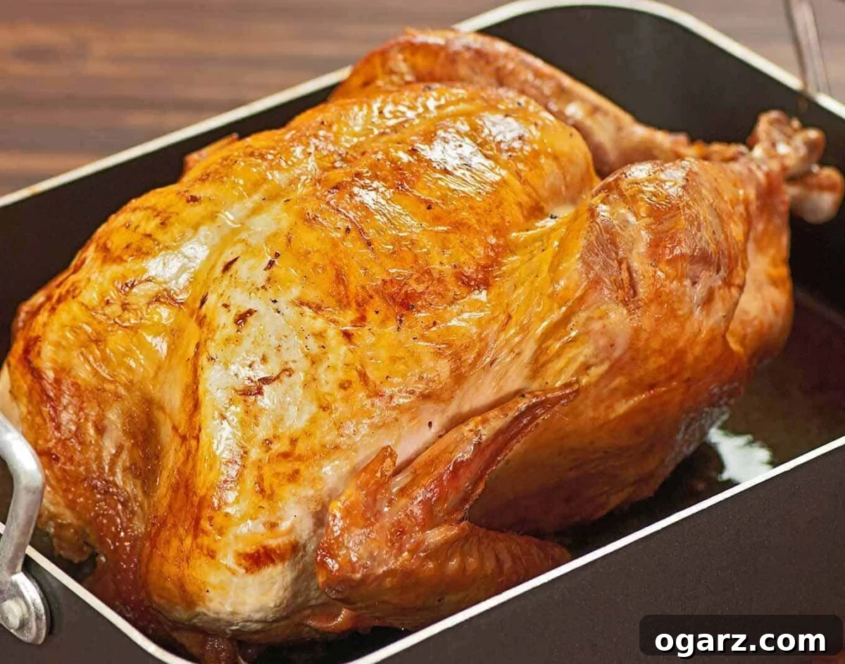 A side view of a golden brown, roasted turkey in the pan.
