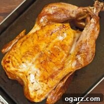 A whole roasted turkey on a rack in a roasting pan with juices for making gravy.