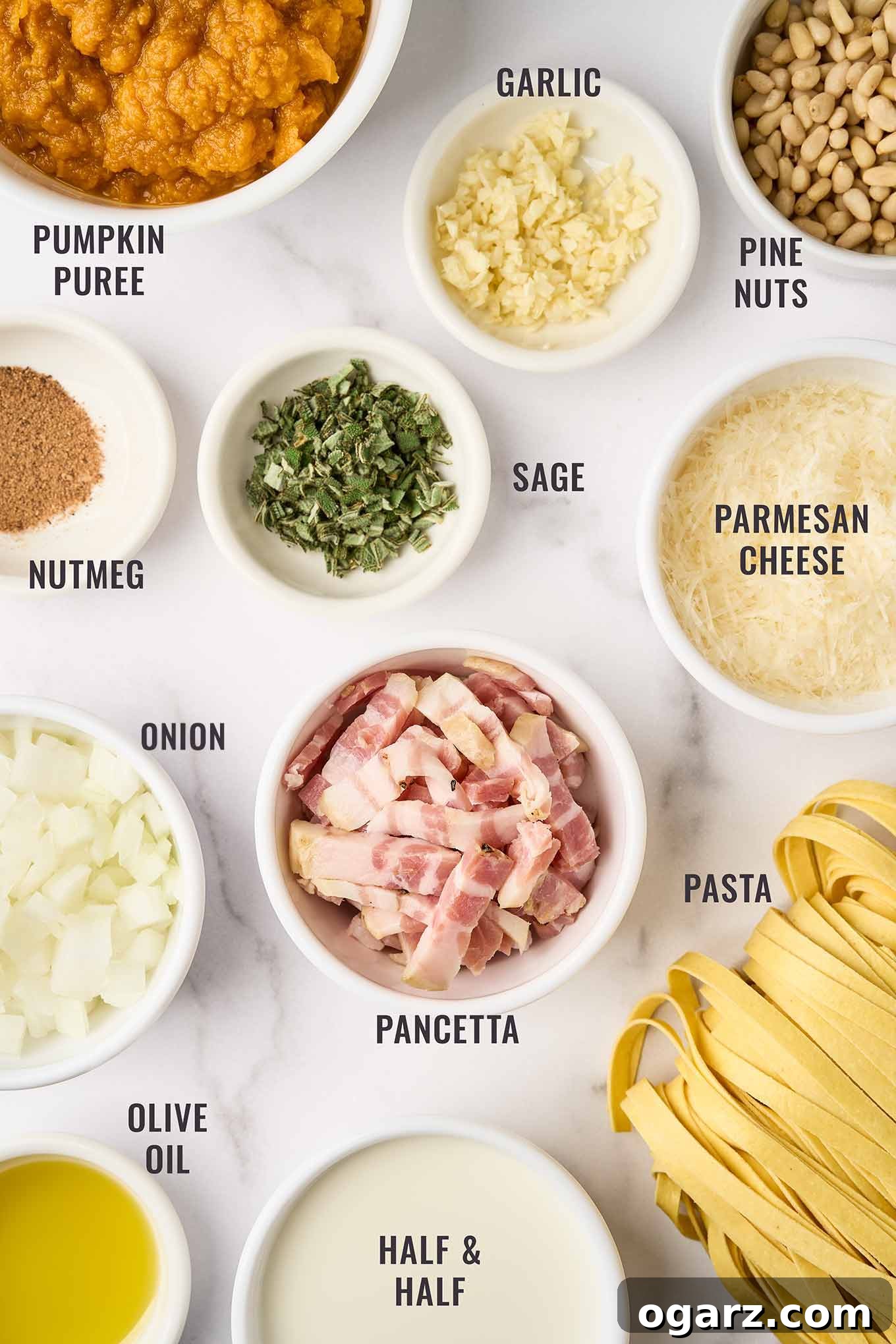 A labeled, overhead view of the ingredients for creamy pumpkin pasta; fettuccine, pumpkin puree, half & half, pancetta, olive oil, onion, nutmeg, sage, garlic, pine nuts, Parmesan.