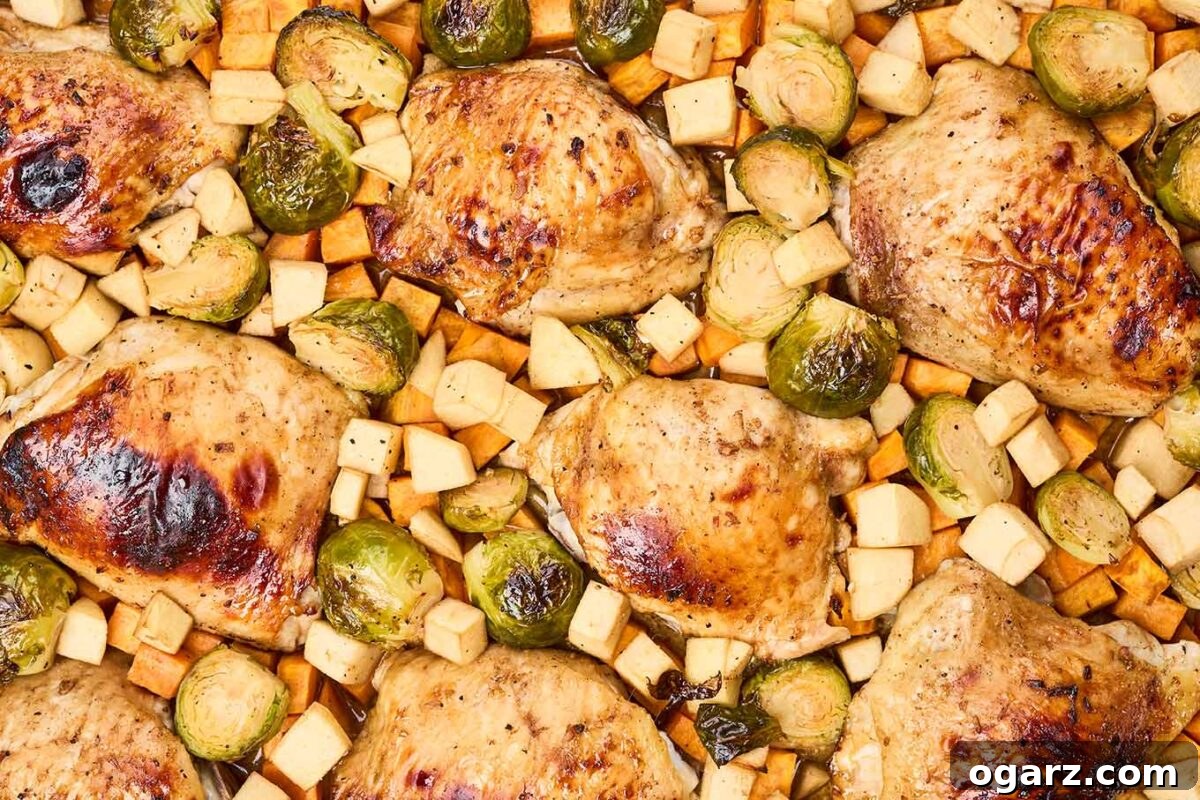 One-Pan Chicken and Seasonal Veggies 8 Close up photo of balsamic and honey-glazed chicken thighs roasted together with chunks of sweet potatoes, apples, and Brussels sprouts. The chicken skin is golden and crisp.