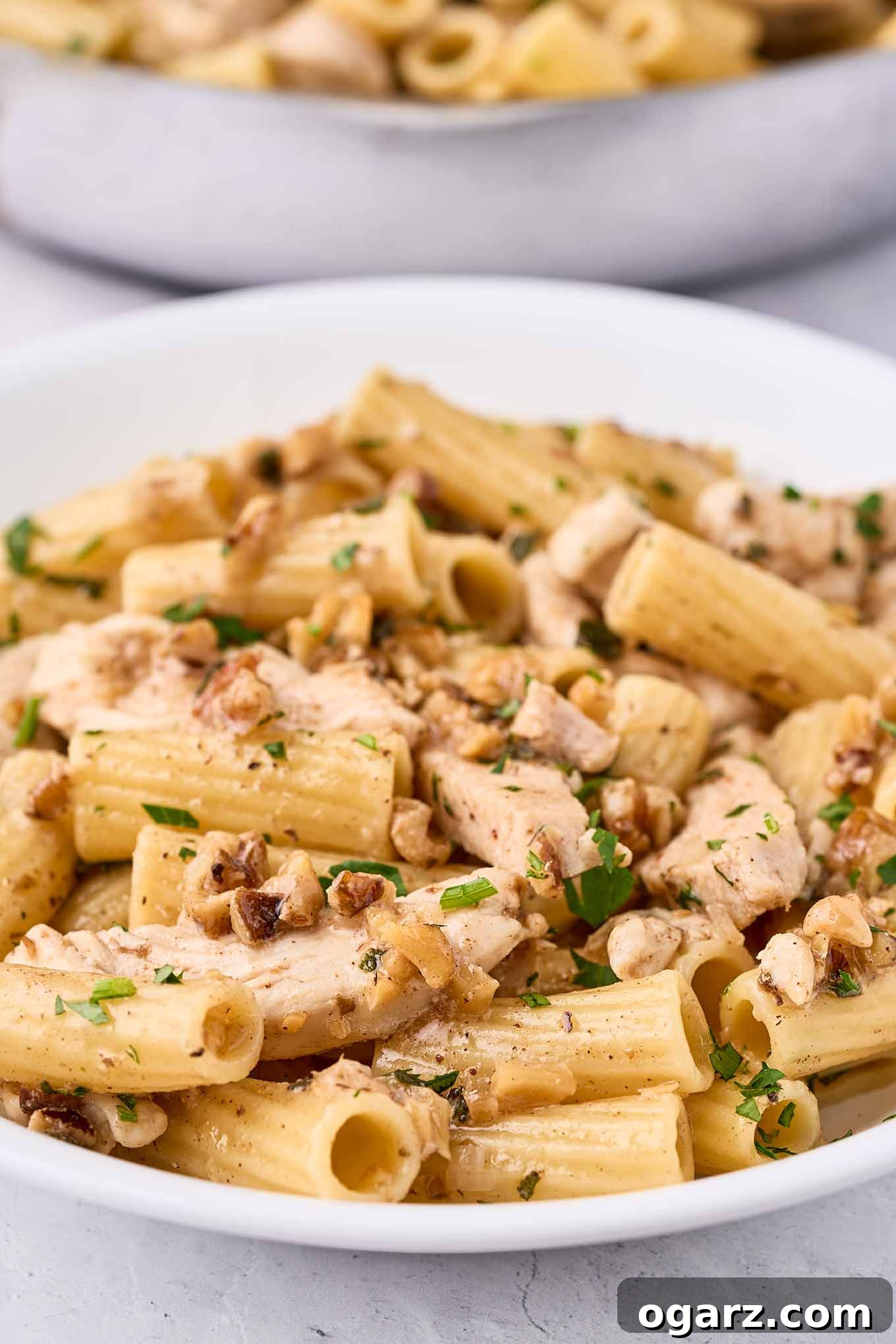 Nutty Brown Butter Chicken Pasta 4 A very close view of brown butter pasta with chicken, showing the walnuts, shallots, herbs, and a light coating of brown butter. The dish appears rich and enticing.