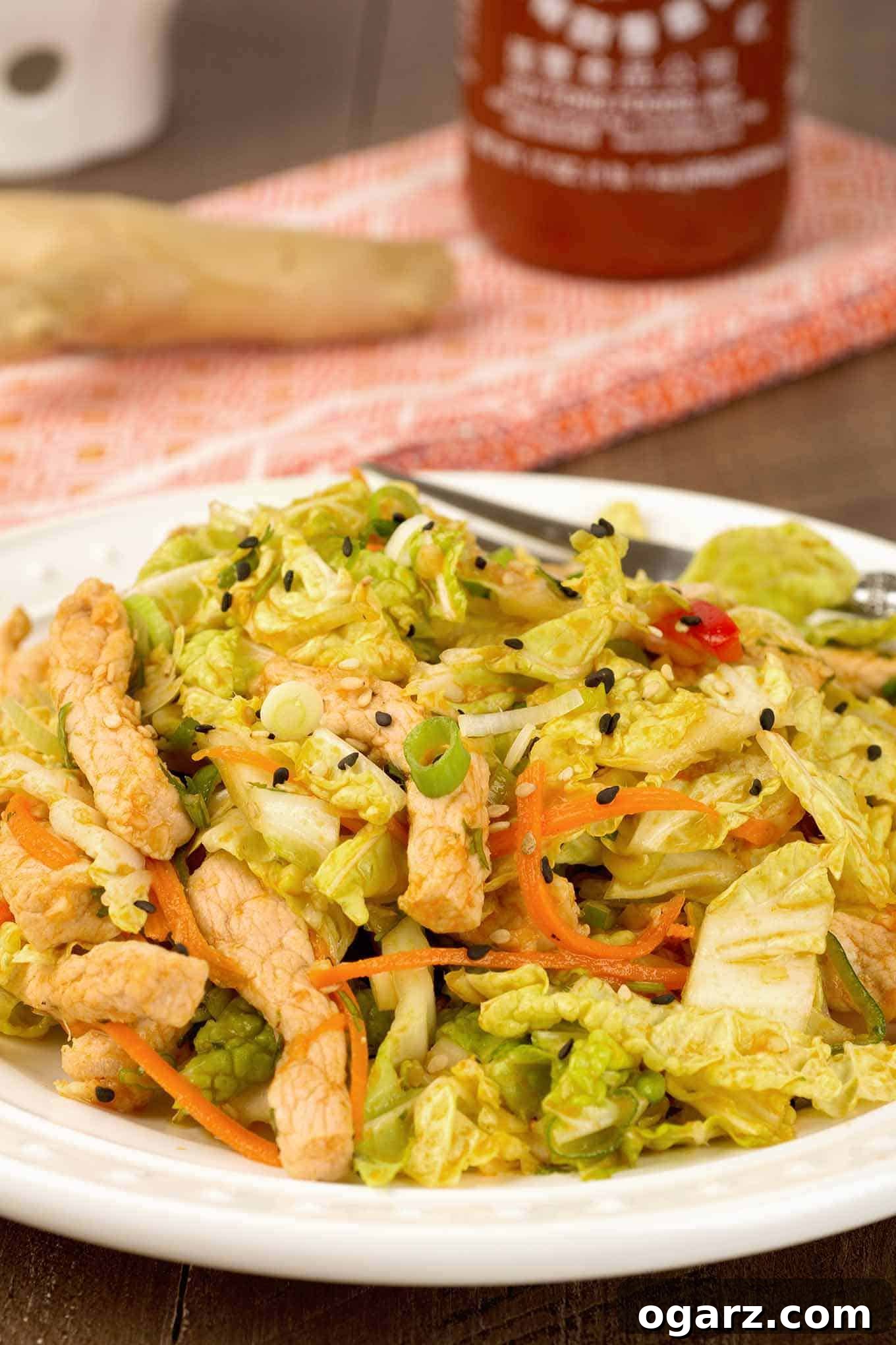 Zesty Pork and Napa Slaw 3 A spicy salad of napa cabbage, shredded carrots, red bell pepper, and scallions topped with stir-fried pork, a bottle of sriracha and knob of ginger on a towel in the background.