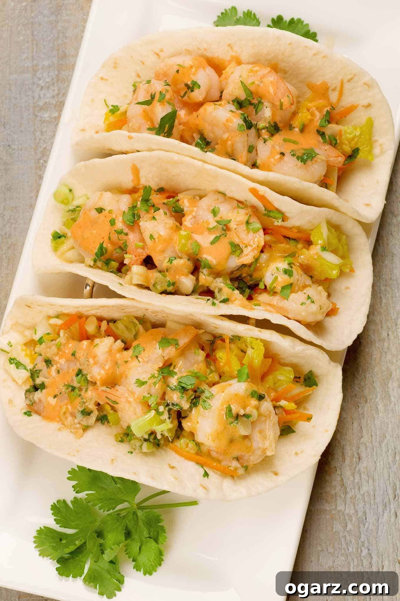 An overhead view of soft flour tortillas filled with crisp napa cabbage slaw, jumbo shrimp stir-fried with garlic and ginger, and a garnish of chopped cilantro.