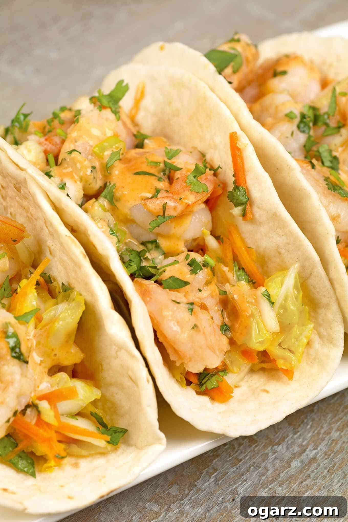 A closeup view of soft tacos filled with stir-fried shrimp and napa cabbage slaw, drizzled with sriracha mayo and garnished with fresh cilantro.