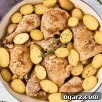 Braised chicken legs with baby potatoes, garlic, and thyme in a large pan after cooking, ready to be served.