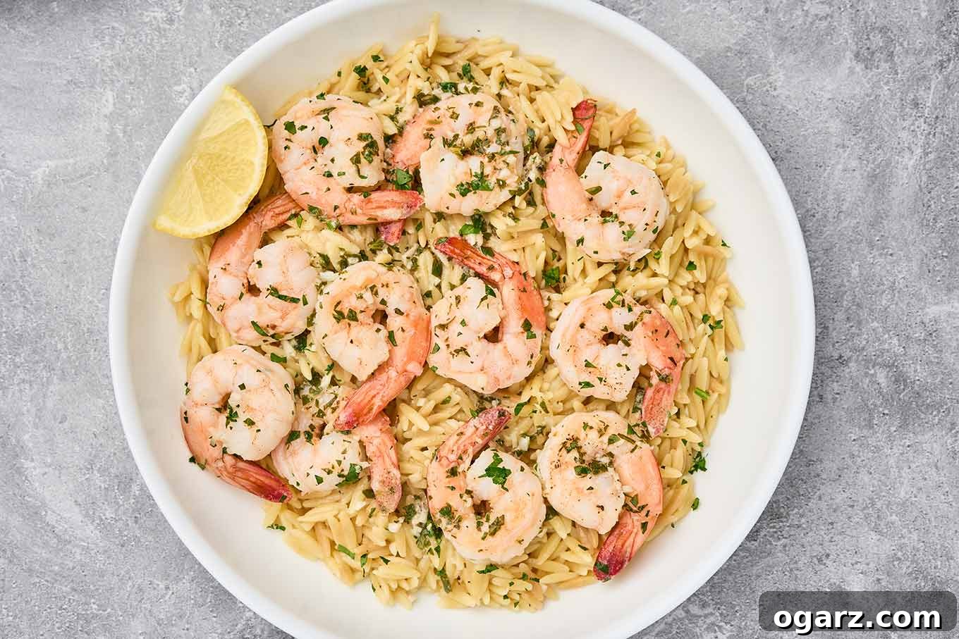 Buttery shrimp scampi with orzo pasta and lemon herb sauce, perfect for a quick seafood meal.