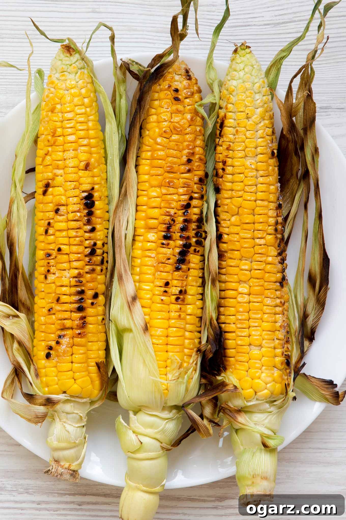 Three ears of corn, grilled in their husks on a serving platter.