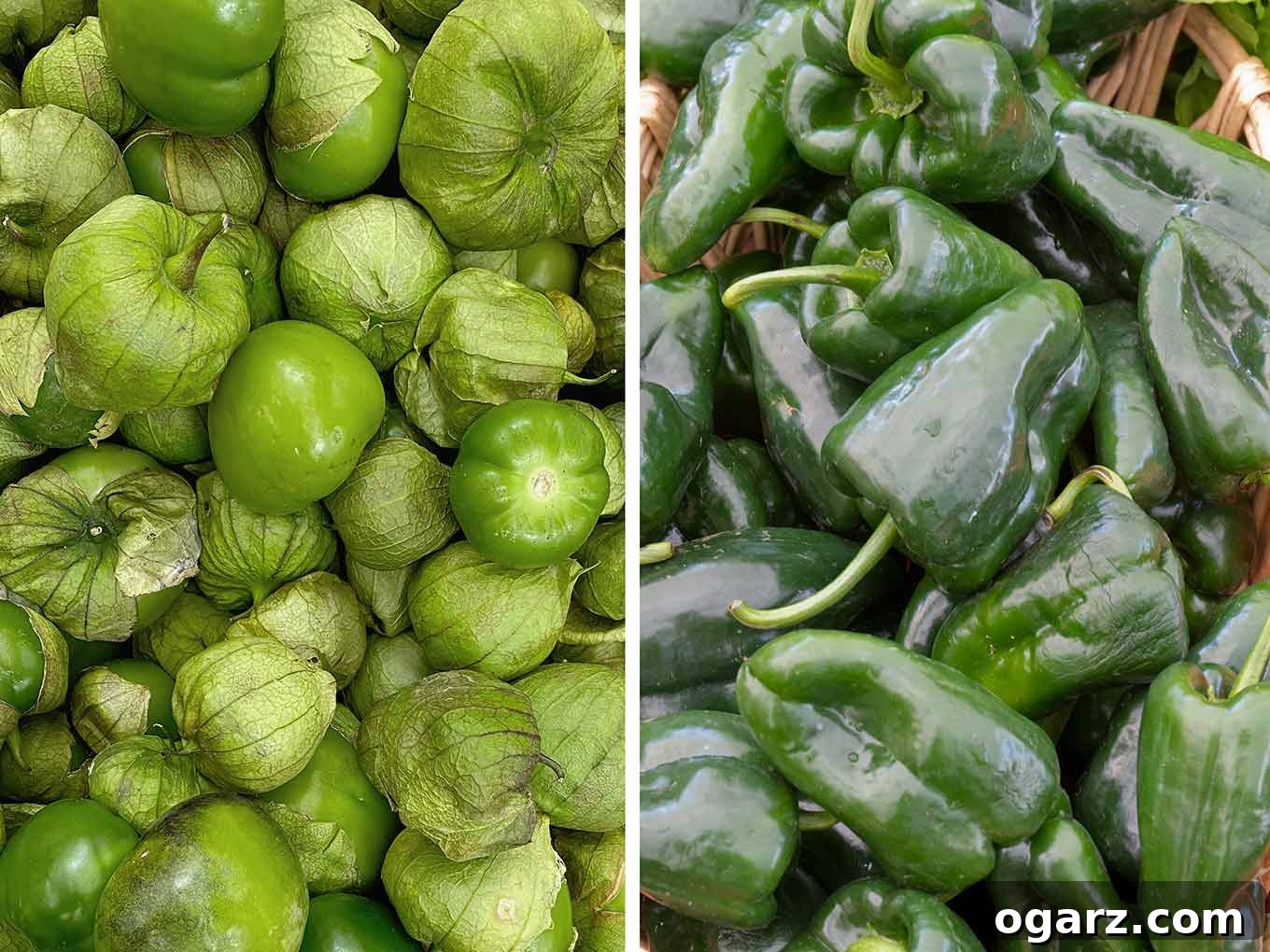 Side-by-side photos showcasing fresh salsa verde ingredients: bright green tomatillos with husks and dark green poblano peppers, ready for preparation.