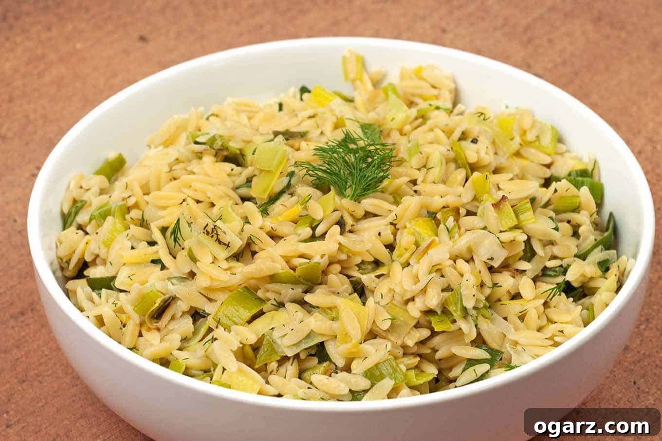 Orzo with Creamy Leeks and Dill - A delightful and easy side dish featuring tender orzo pasta, sweet sautéed leeks, fresh dill, and a luscious sour cream sauce, brightened with a hint of lemon. Perfect for any meal.