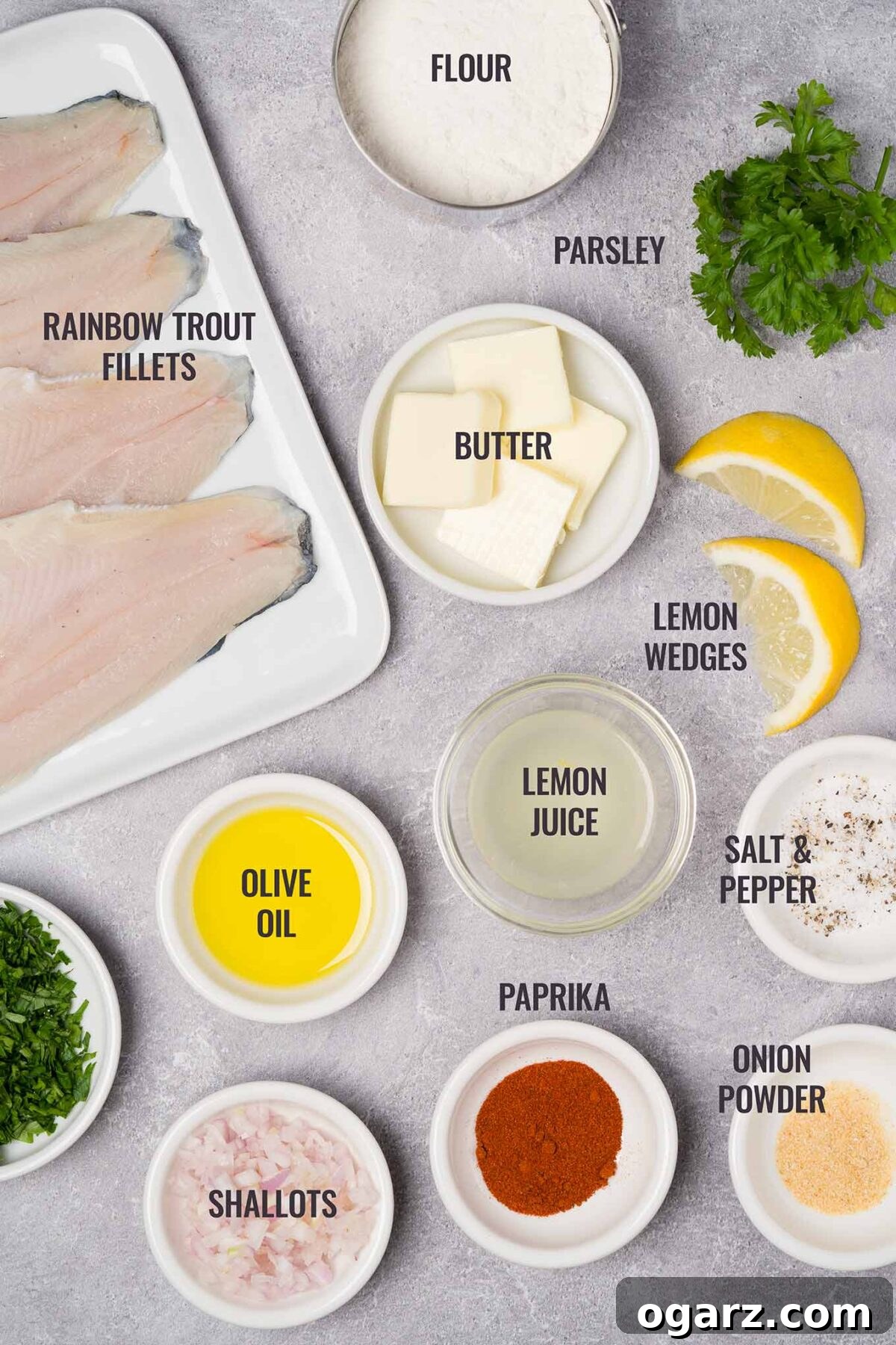 An overhead view of the ingredients needed to make trout meunière including rainbow trout fillets, lemon juice, shallots, parsley, and lemon.