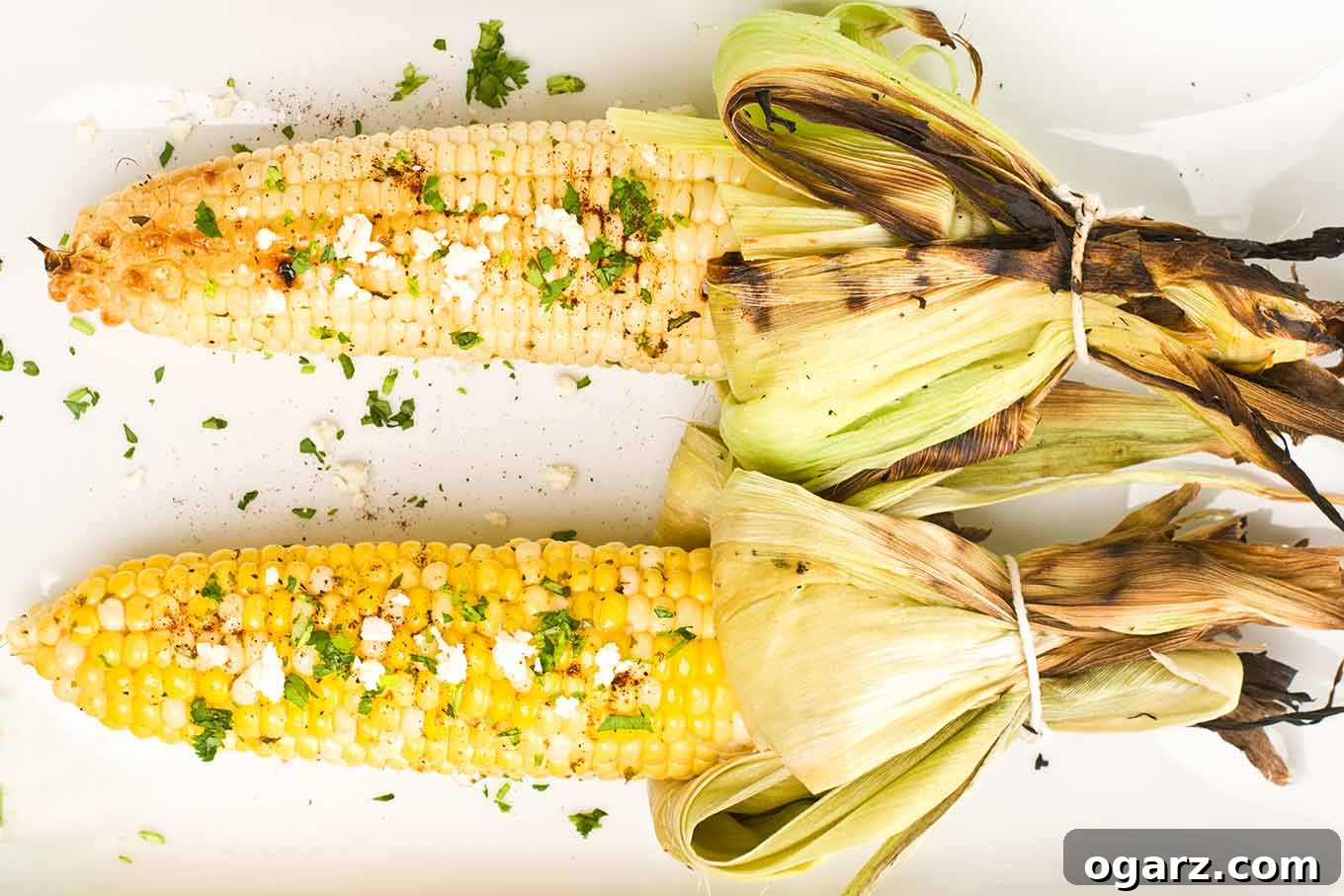 Authentic Elote Street Corn 3 A close, overhead view of two ears of Mexican street corn ready for serving after adding melted butter, chopped cilantro, and crumbled cheese.