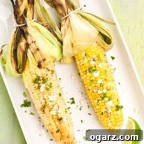 A serving platter with two ears of grilled corn, husks tied back, one white corn, one yellow, both topped with elote seasoning, chopped cilantro, and crumbled Cotija cheese.
