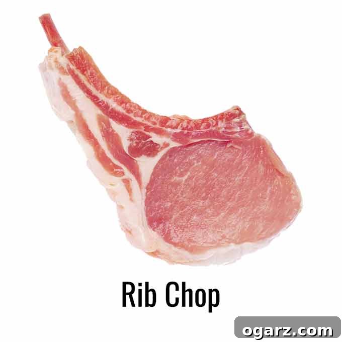 A pork rib chop on a white background.