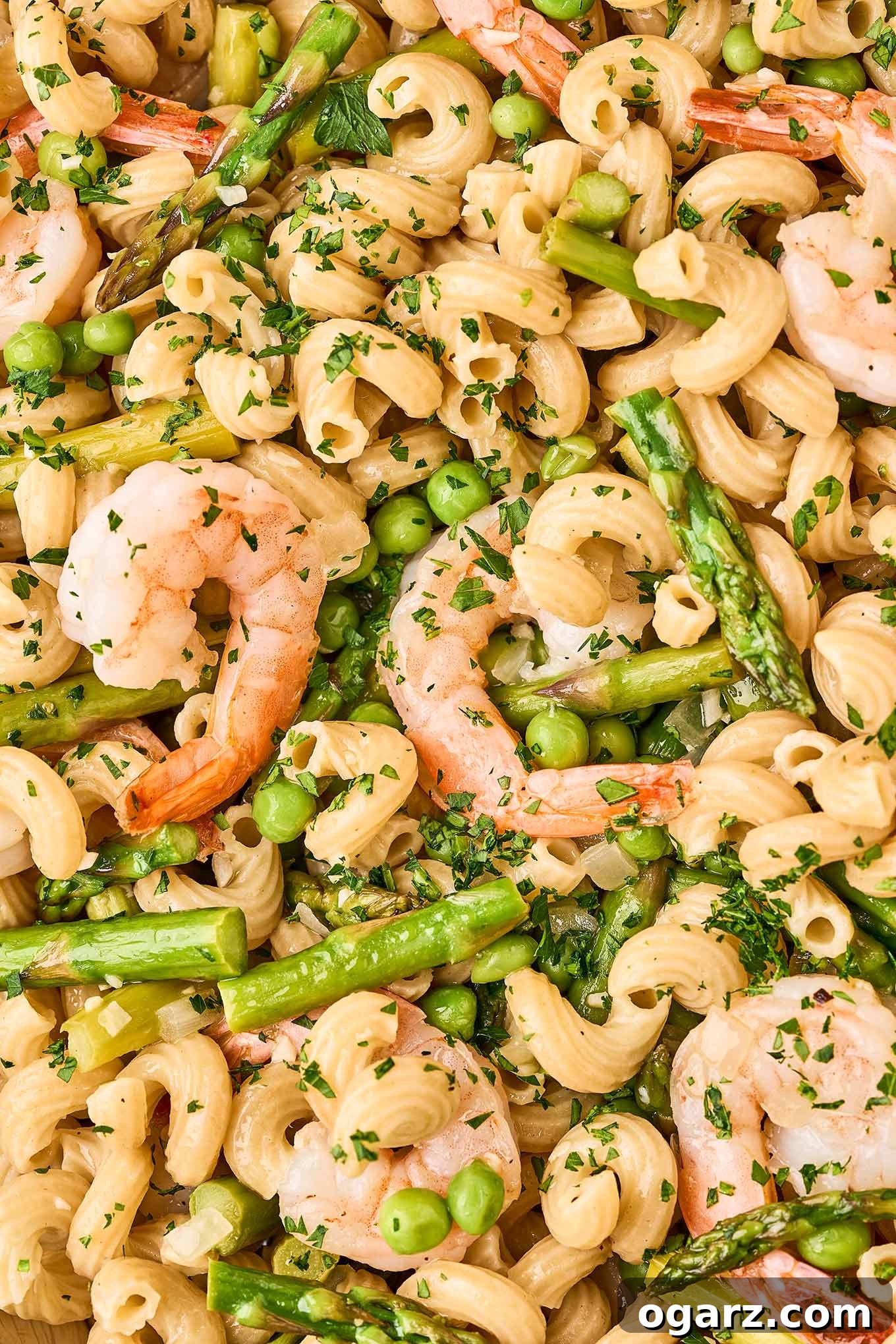 A detailed close up shot of pasta primavera with shrimp showing pasta combined with sautéed jumbo shrimp, asparagus, and peas in white wine sauce.