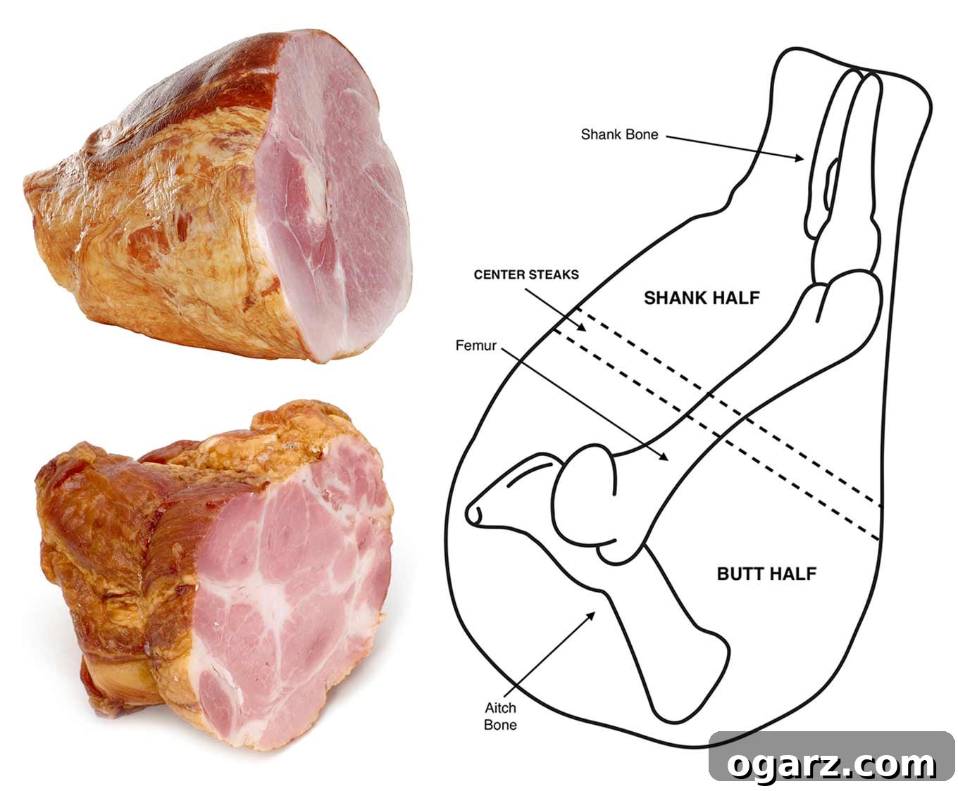 The Secret to a Delicious Glazed Ham 3 A visual diagram contrasting butt half and shank half hams, illustrating their shapes, bone locations, and typical cuts.