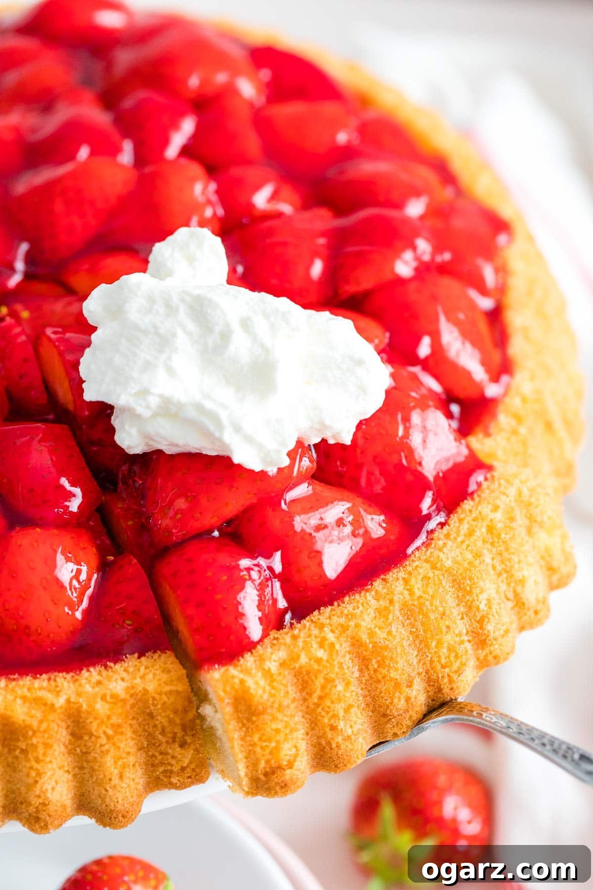 German Strawberry Kuchen 7 A single slice of German Strawberry Cake, elegantly placed on a cake server, with a dollop of fresh whipped cream on top, ready to be enjoyed.