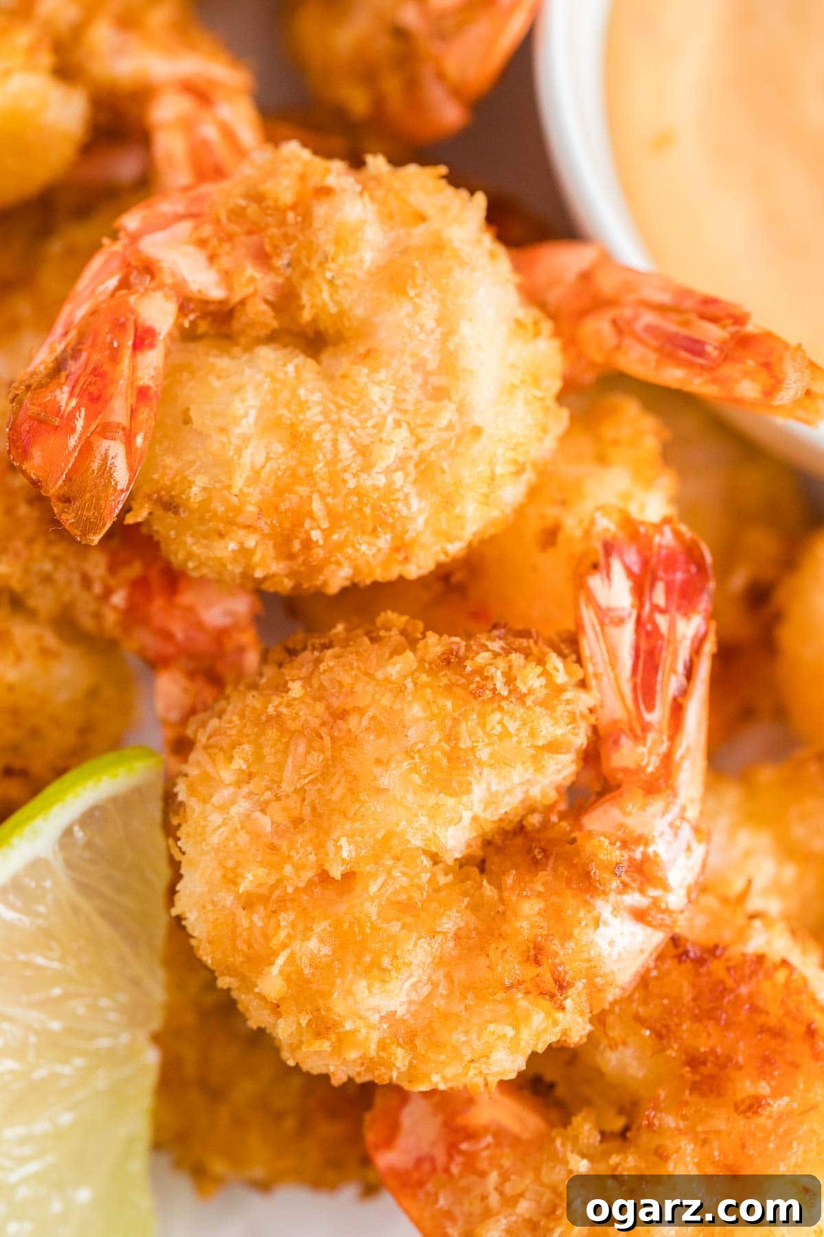 Crispy Golden Air Fryer Coconut Shrimp 6 A close-up of beautifully air-fried coconut shrimp served alongside a fresh lime wedge, ready to be enjoyed.
