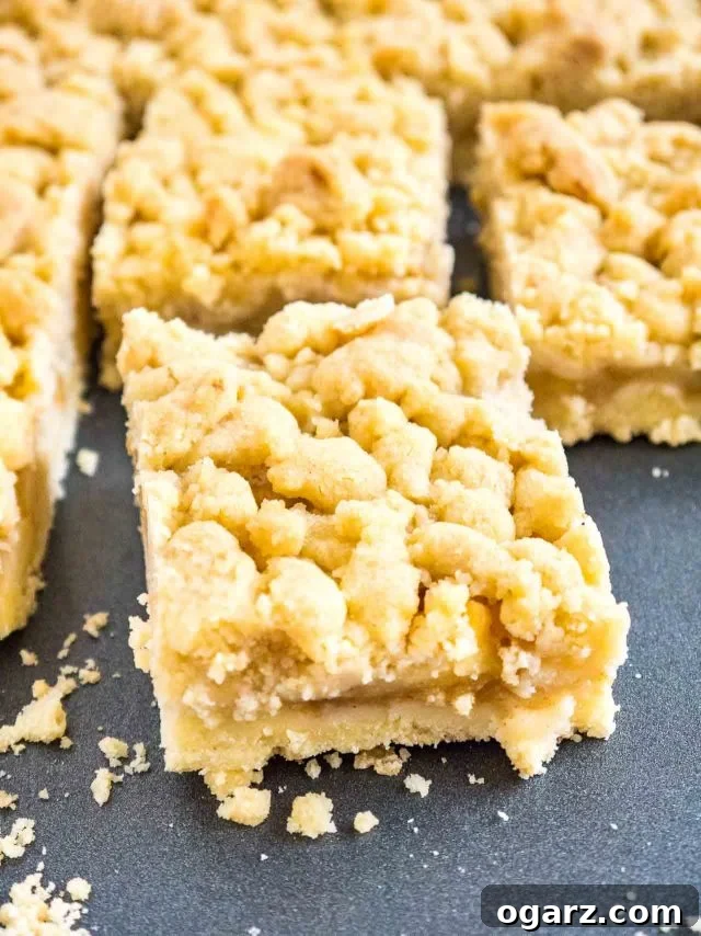 Several pieces of Apple Streusel Sheet Cake arranged on a dark grey baking sheet, highlighting the golden streusel topping and the soft interior.
