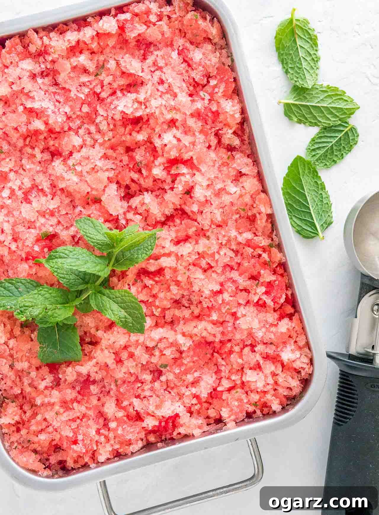 Slushy Watermelon Delight 3 A stainless steel baking pan of pink watermelon granita garnished with mint with an ice cream scoop next to it.