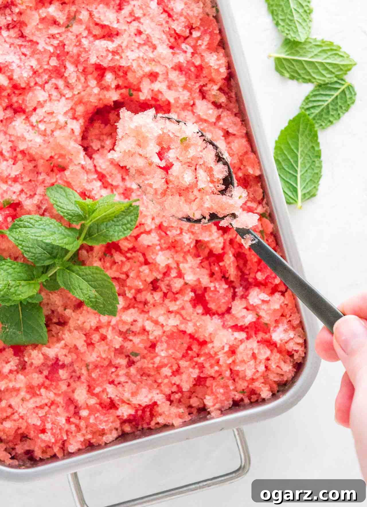 Slushy Watermelon Delight 5 A stainless steel baking pan of pink watermelon granita garnished with mint. A hand is digging into the granita with a spoon.
