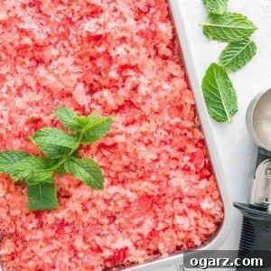 Slushy Watermelon Delight 6 A stainless steel baking pan of pink watermelon granita garnished with mint with an ice cream scoop next to it.