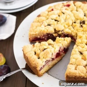 A plum cake with streusel on a springform bottom on a white plate. A cake server is lifting out a slice.