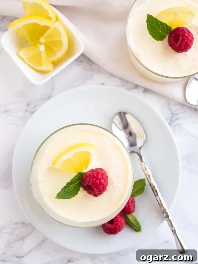 Light and Fluffy Lemon Mousse 3 Top-down view of lemon mousse in a glass on a white plate with a spoon garnished with mint, lemon slices and raspberry, next to a small square bowl of lemon slices and another glass of mousse.
