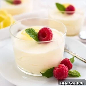 Light and Fluffy Lemon Mousse 4 A glass of lemon mousse, garnished with mint, raspberries and lemon slices on a white plate with a spoon. There is a white bowl with lemon slices and more glasses of mousse in the background.