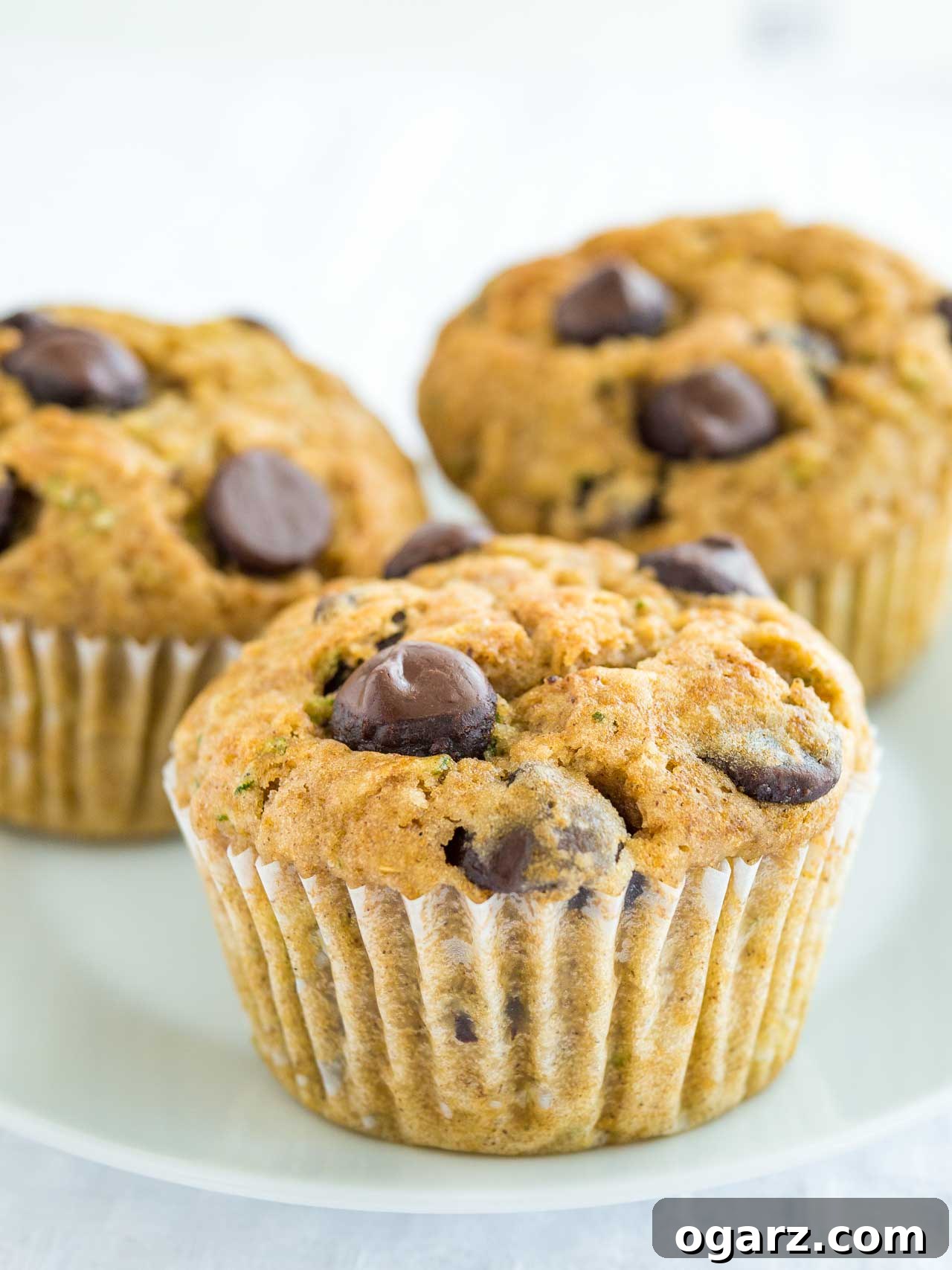 Chocolate Zucchini Delight Muffins 6 Close up shot of golden-brown zucchini chocolate chip muffins on a pristine white plate, with a focus on their moist texture and visible chocolate melting within.