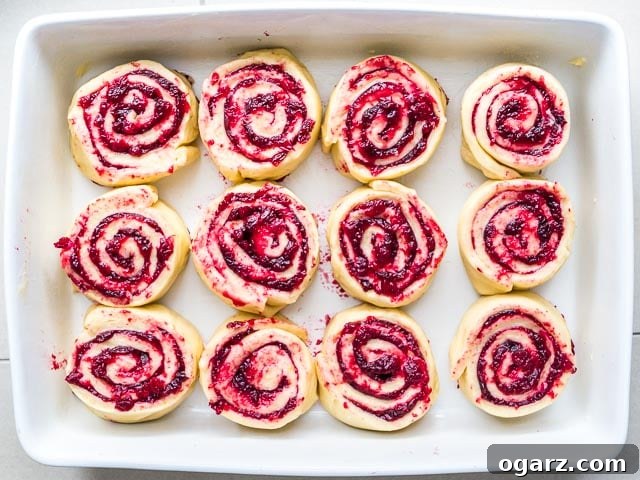 Zesty Cranberry Orange Buns 4 Top-down shot of a white baking dish with unbaked cranberry-orange rolls in them.