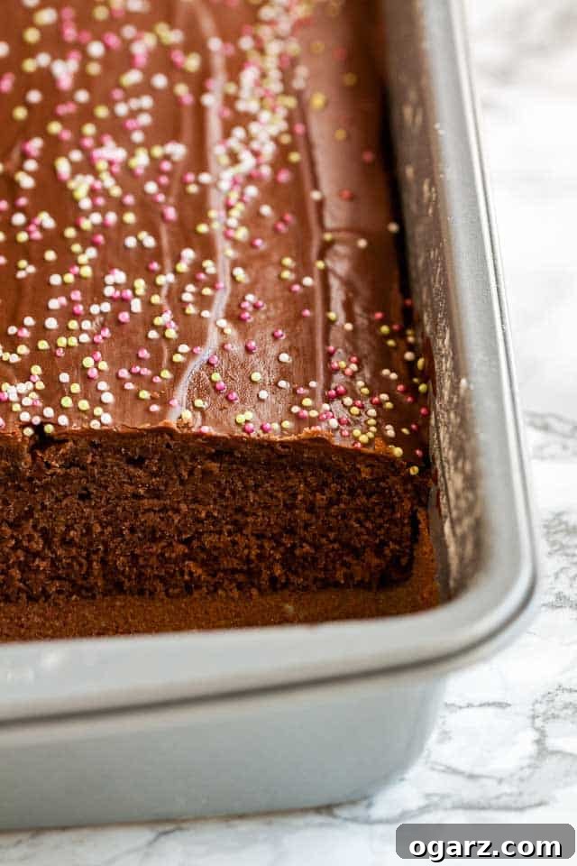 Quick & Cozy Spice Cake 4 A baking pan containing chocolate topped spice cake with one piece elegantly removed, revealing the moist interior, all on a sophisticated marble surface.