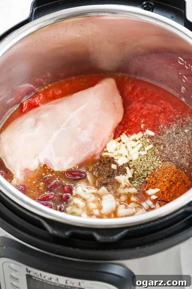 An instant pot containing all ingredients without mixing them: A whole chicken breast, minced garlic, pinto beans, diced onion, crushed tomato, cumin, black pepper, chili powder, oregano.