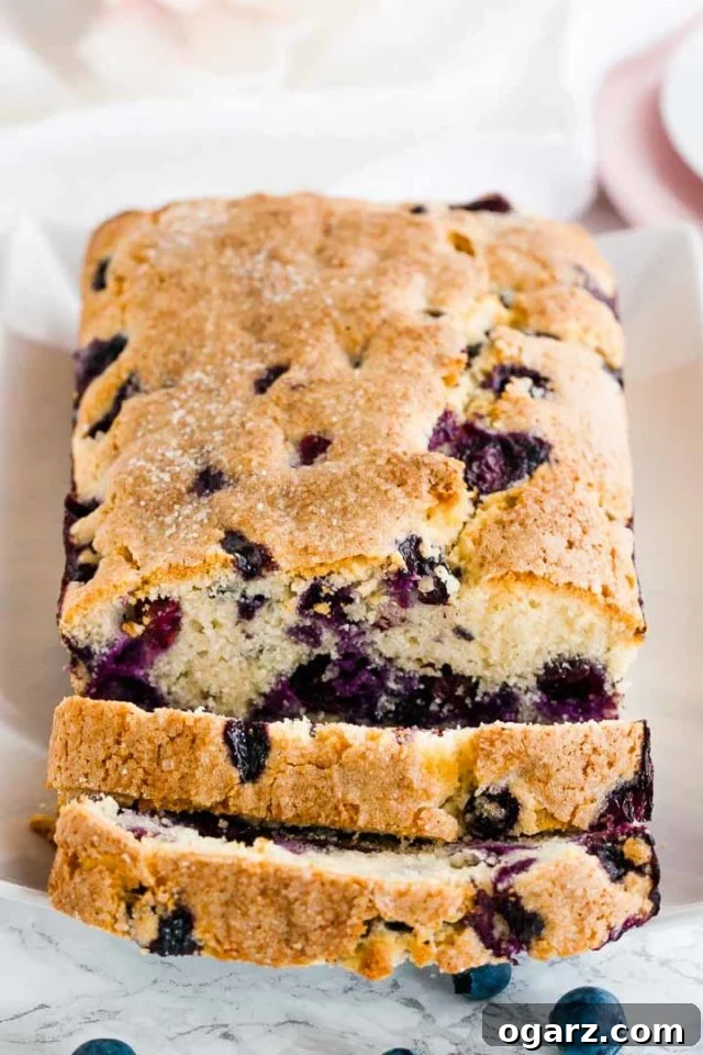 A loaf of blueberry bread on a white, rectangular plate with 2 slices cut off lying in front of it.