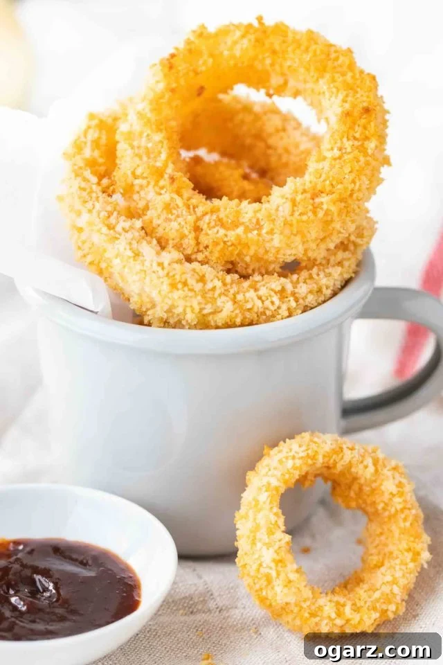 Fried onion rings in a grey canteen cup with parchment paper. There's a small white porcelain bowl with barbecue sauce next to it and a single onion ring leaning against it.