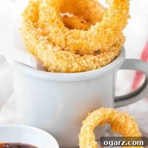 Fried onion rings in a grey canteen cup with parchment paper. There's a small white porcelain bowl with barbecue sauce next to it and a single onion ring leaning against it.