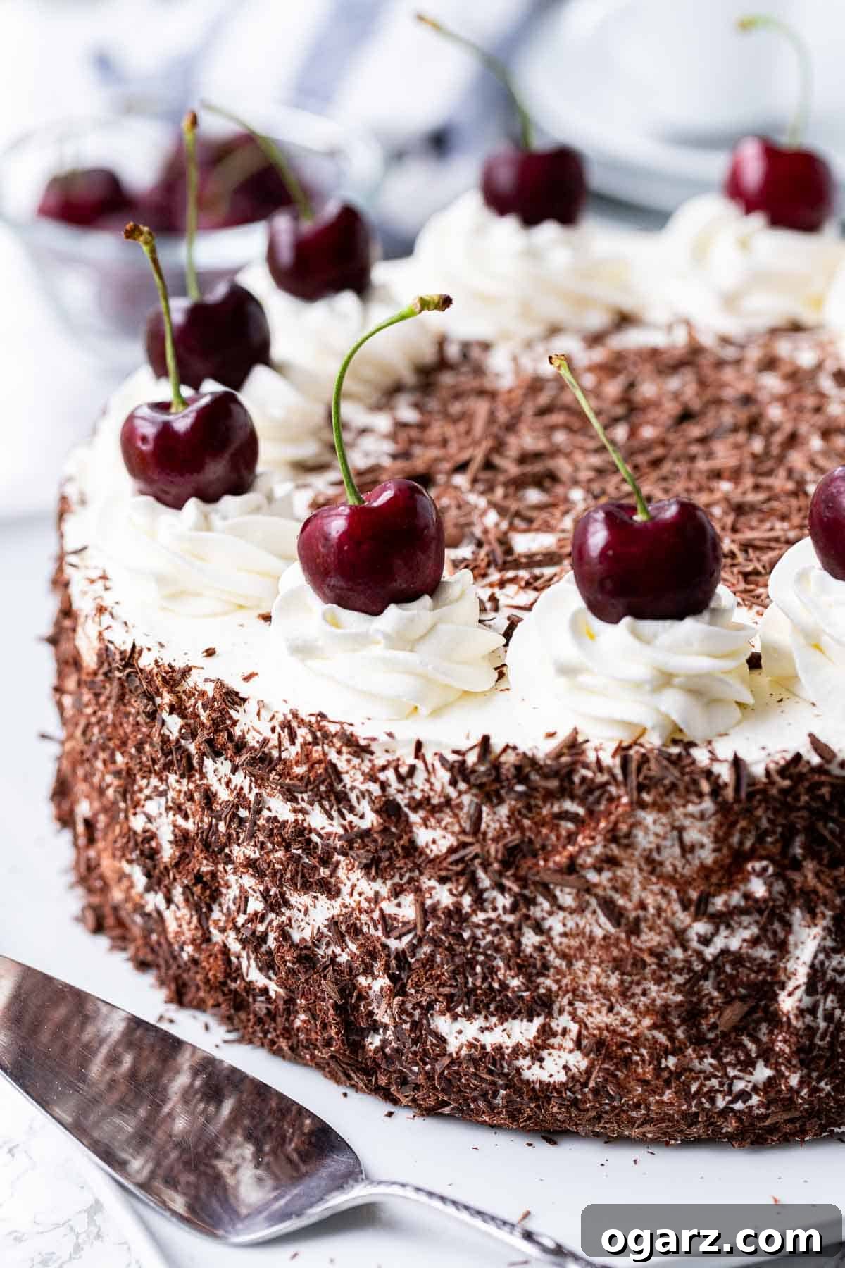 Dark Forest Cherry Delight 2 A beautifully decorated traditional Black Forest Cake, adorned with fresh cherries and chocolate shavings, presented on an elegant cake platter, ready to be served.