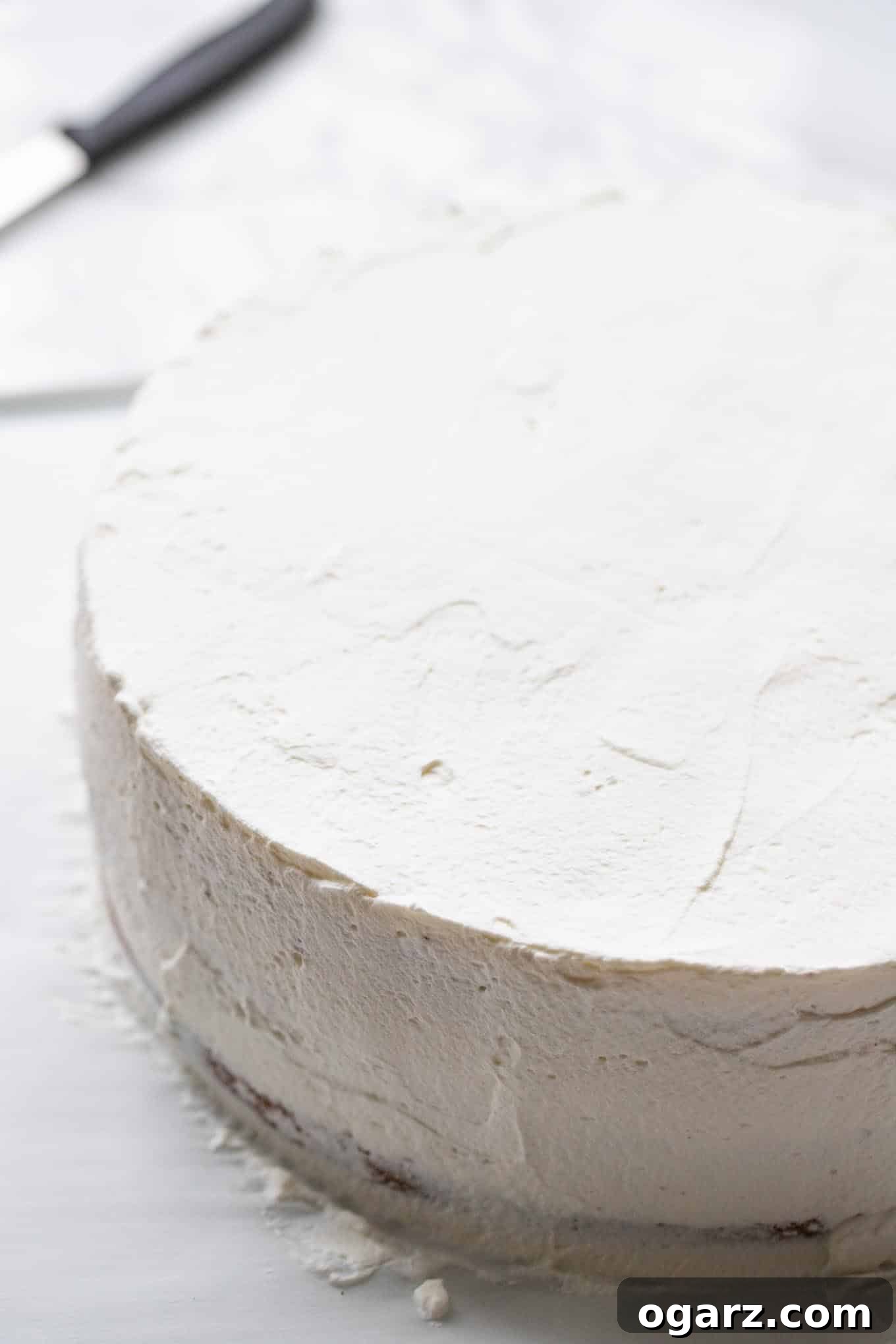 Dark Forest Cherry Delight 13 A Black Forest Cake completely frosted with smooth, white whipped cream around its sides and top, ready for decoration.
