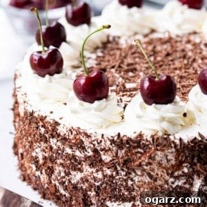 Dark Forest Cherry Delight 16 A beautifully decorated traditional Black Forest Cake, adorned with fresh cherries and chocolate shavings, presented on an elegant cake platter.