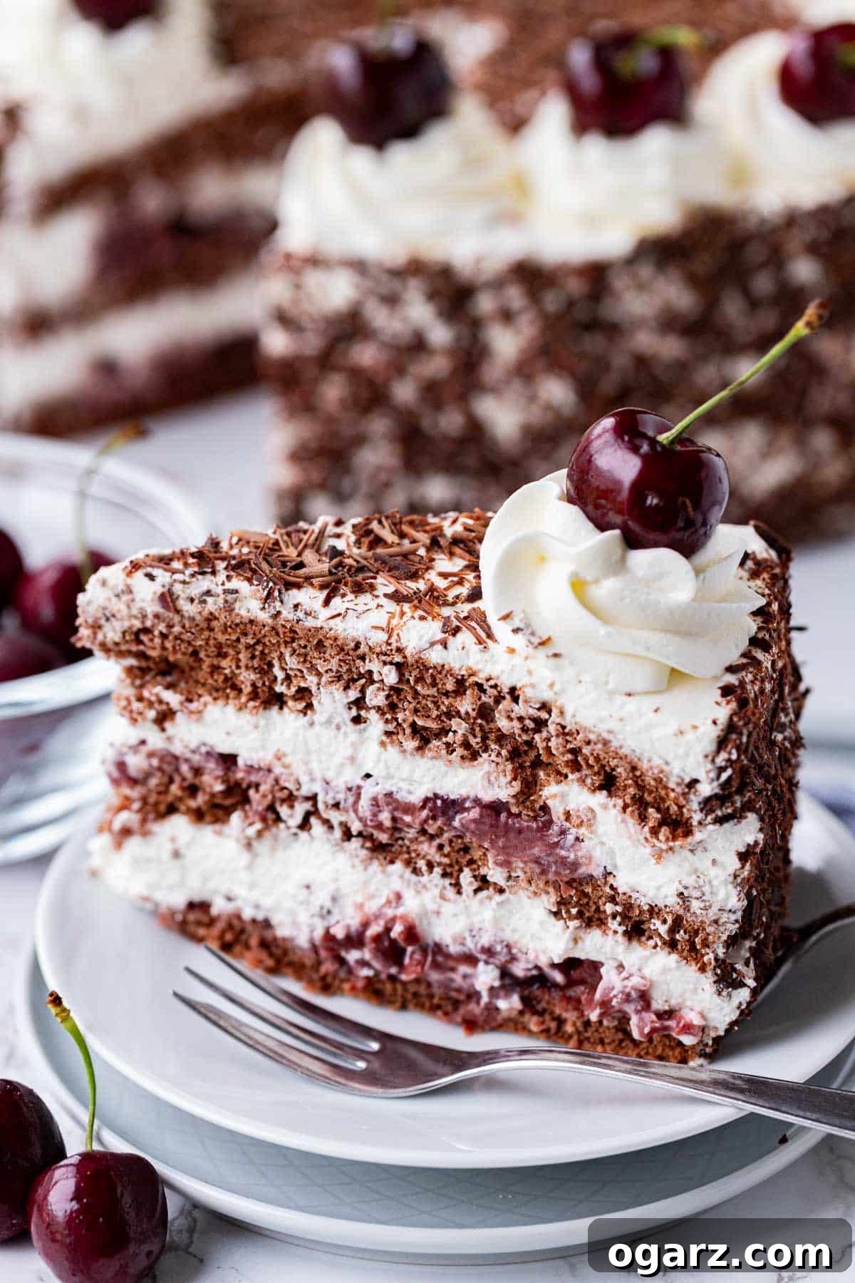 Dark Forest Cherry Delight 3 A decadent slice of Black Forest Gateau cake, showcasing its layers of chocolate sponge, rich cherry filling, and fluffy whipped cream, served on a small white plate with a fork.