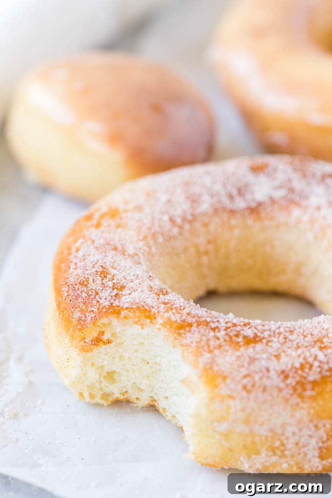 Air-Fried Donut Perfection 3 A close up of a sugared Air Fryer Donut on a plate, showcasing its fluffy texture