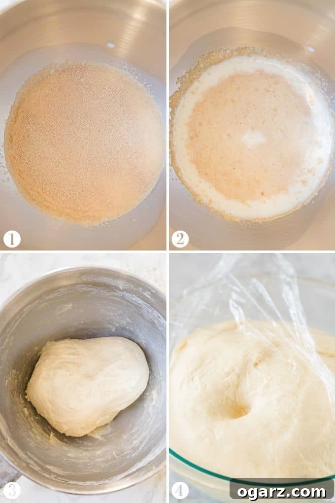 Air-Fried Donut Perfection 4 Collage showing steps for making Air Fryer Donut dough: yeast activation, kneading, and first rise
