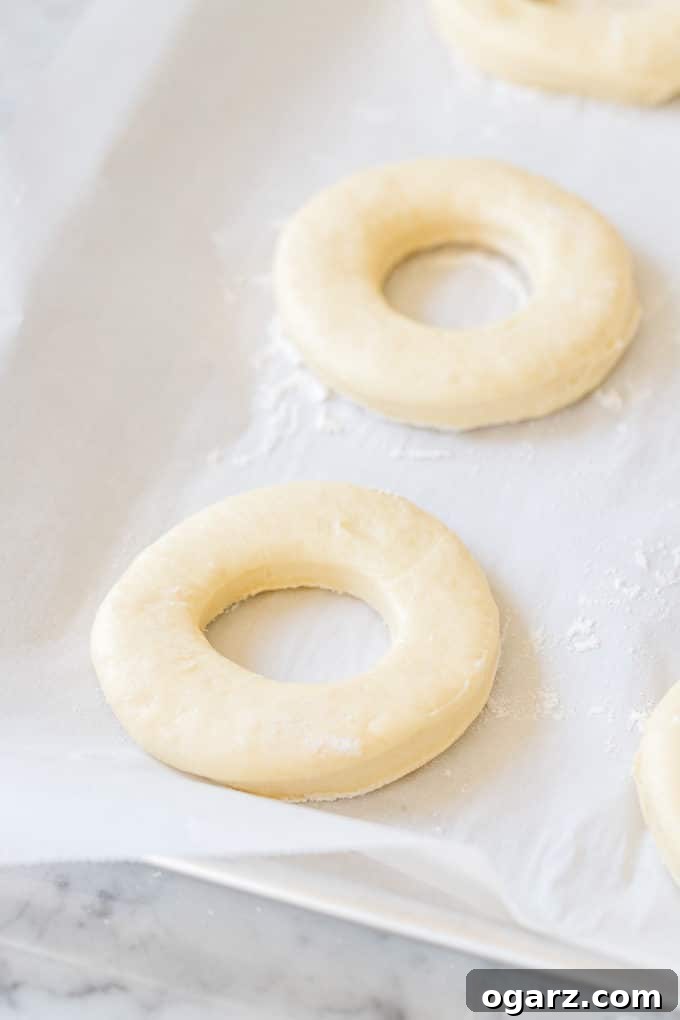 Air-Fried Donut Perfection 5 Raw Air Fryer Donuts and donut holes placed on parchment paper, ready for their second rise